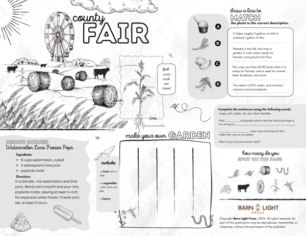 County Fair