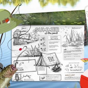 Summer at the Pond