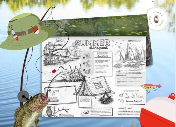 Summer at the Pond