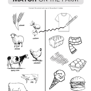 Farm Match Game