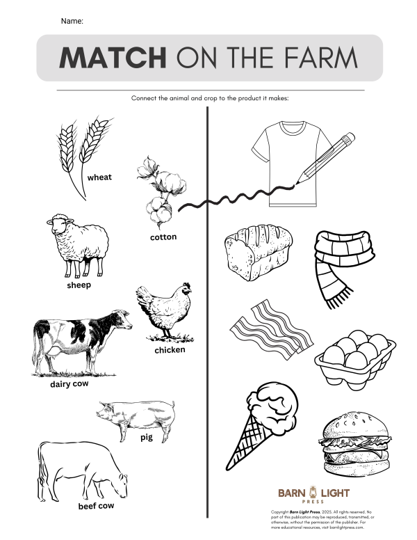 Farm Match Game